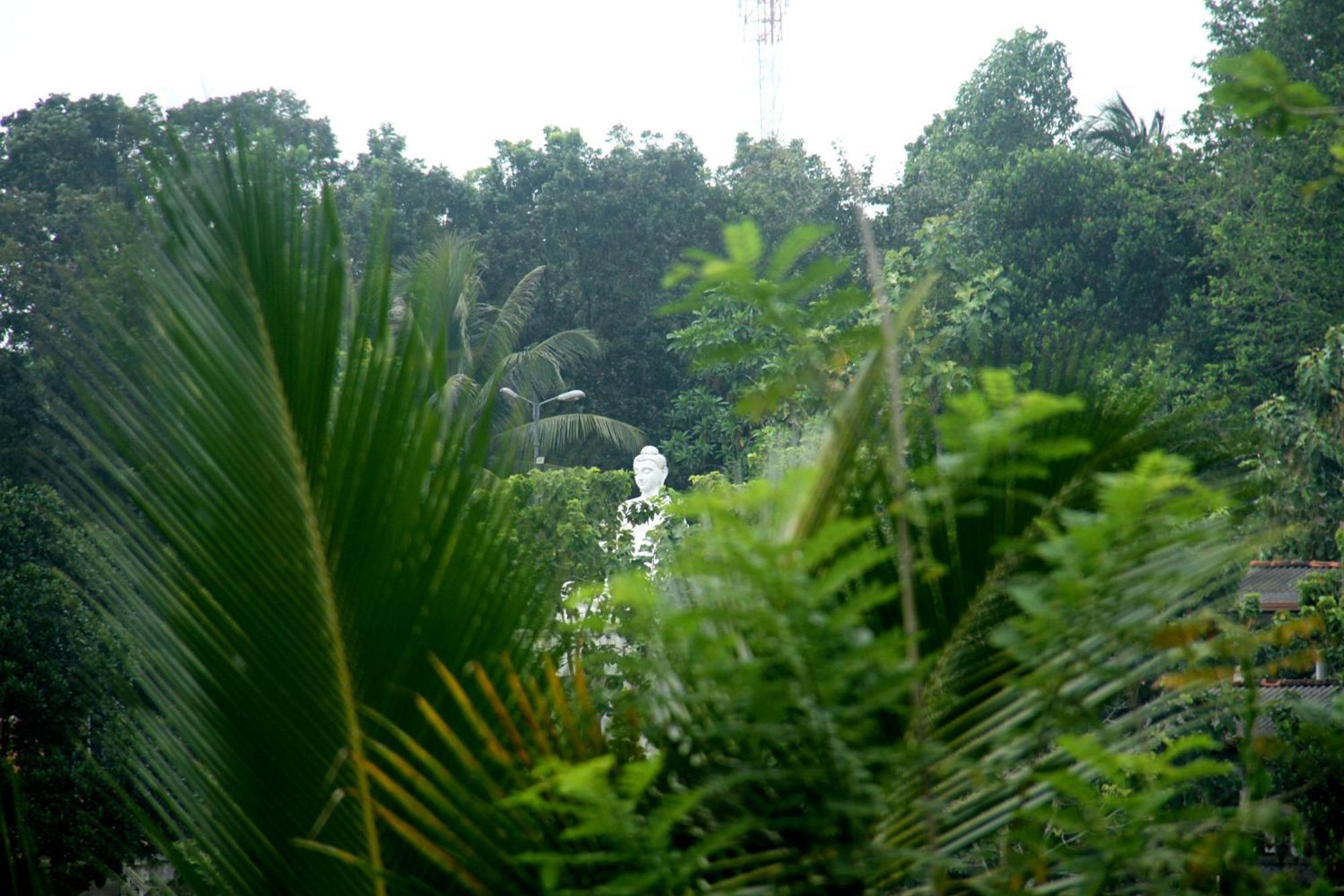 The Breeze Pinnawala Pinnawala  Extérieur photo